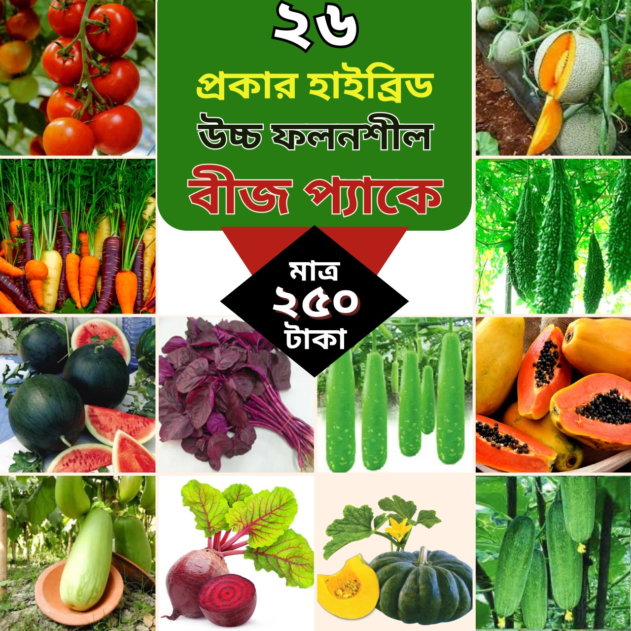 ২৬ প্রকার কম্বো সবজি বীজ